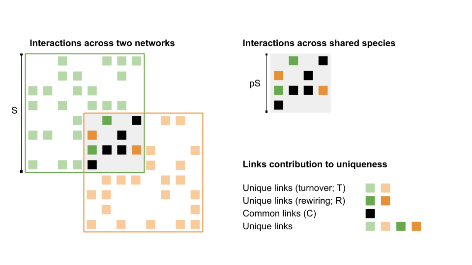 Figure 1: The dissimilarity of two networks (green and orange) of equal richness S (this also holds for unequal richness) depends on three families of interactions: those that are unique because of species turnover (in a pale color), those that are unique because of rewiring (in a saturated color), and those that are shared (in black). Assuming that the chance of sharing a species between the two networks is p, then there can be at most p^2\times S^2 shared links – for this reason, overall network dissimilarity (\beta_{wn}) will have a component tied to species turnover, which is \beta_{st}.